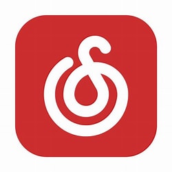 网易云音乐(内置杜比大喇叭模块)